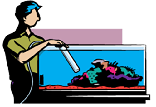 (image for) Aquarium Services - Click Image to Close